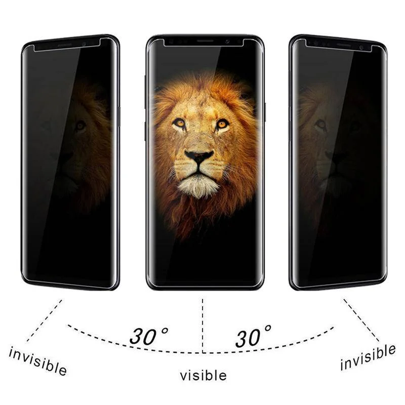 2 pezzi di pellicola protettiv - Anti Spy Privacy Glass Case recensione e prezzo